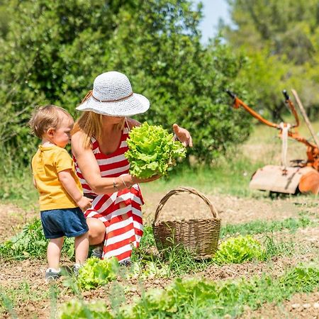 Agriturismo Le Biricoccole Вада Екстер'єр фото