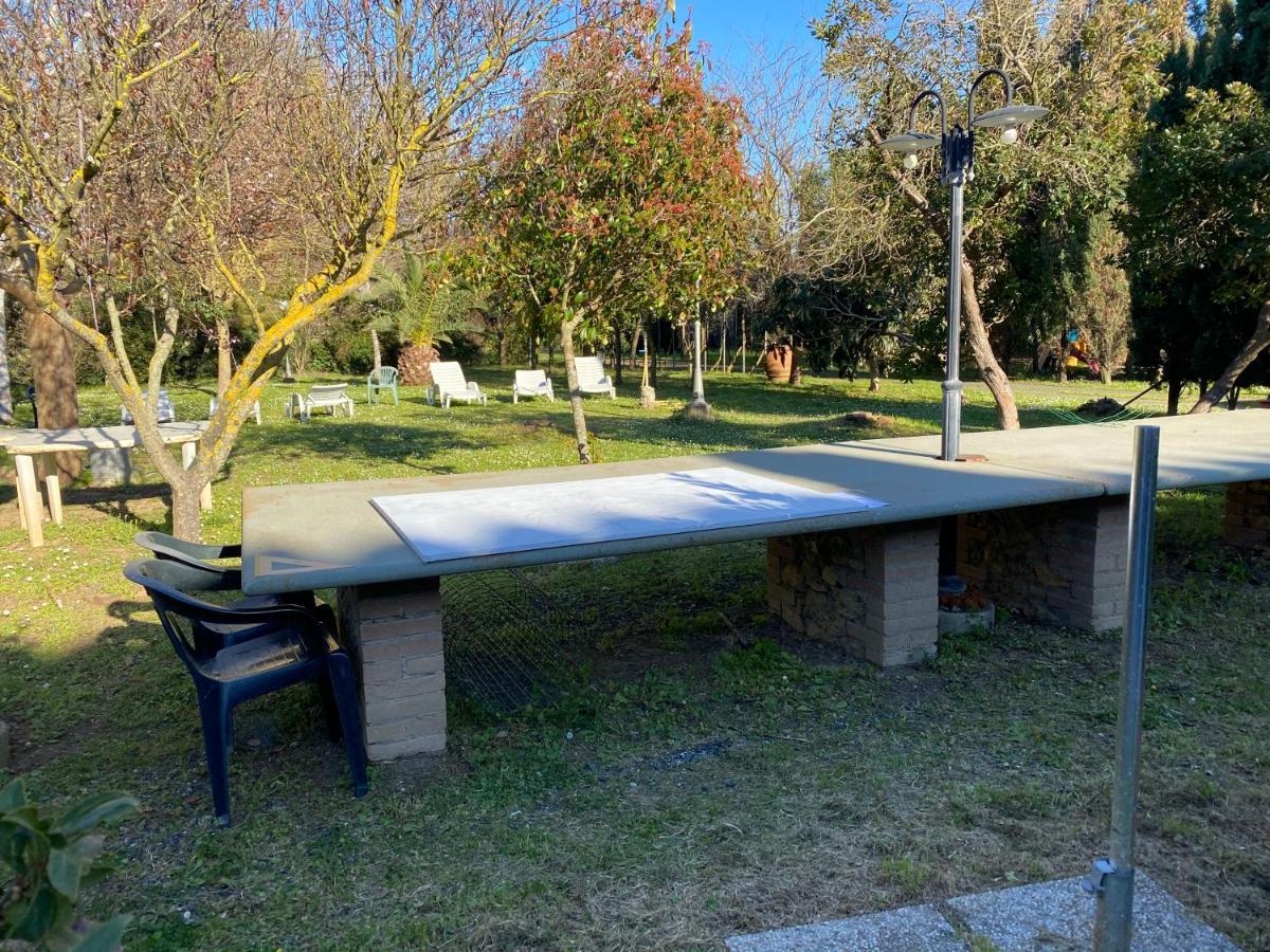Agriturismo Le Biricoccole Вада Екстер'єр фото