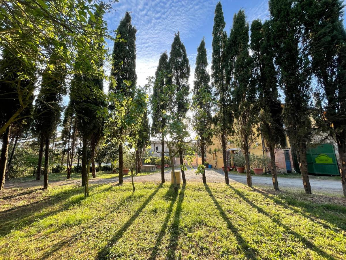 Agriturismo Le Biricoccole Вада Екстер'єр фото