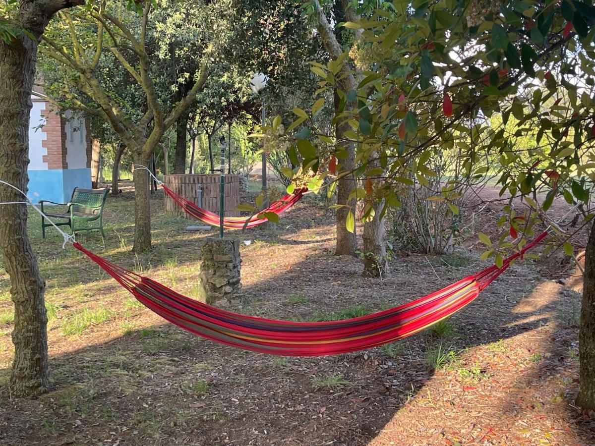 Agriturismo Le Biricoccole Вада Екстер'єр фото