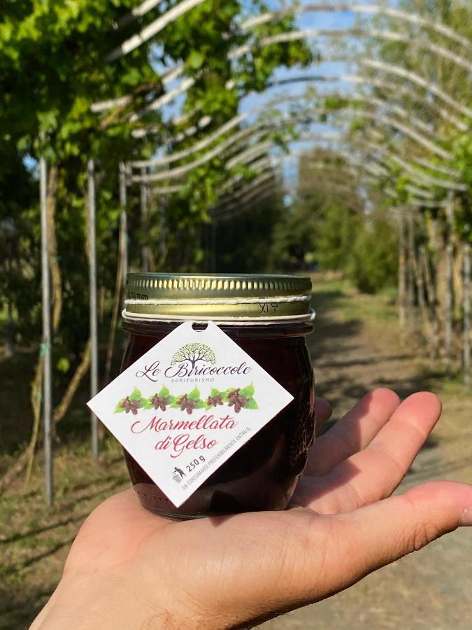 Agriturismo Le Biricoccole Вада Екстер'єр фото