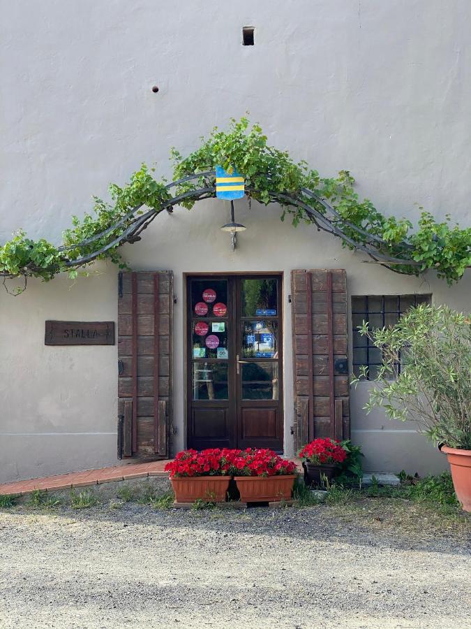 Agriturismo Le Biricoccole Вада Екстер'єр фото