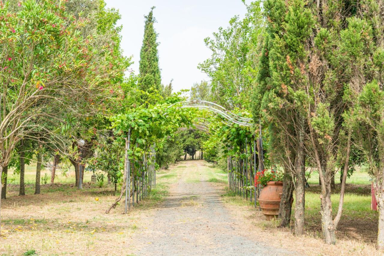 Agriturismo Le Biricoccole Вада Екстер'єр фото