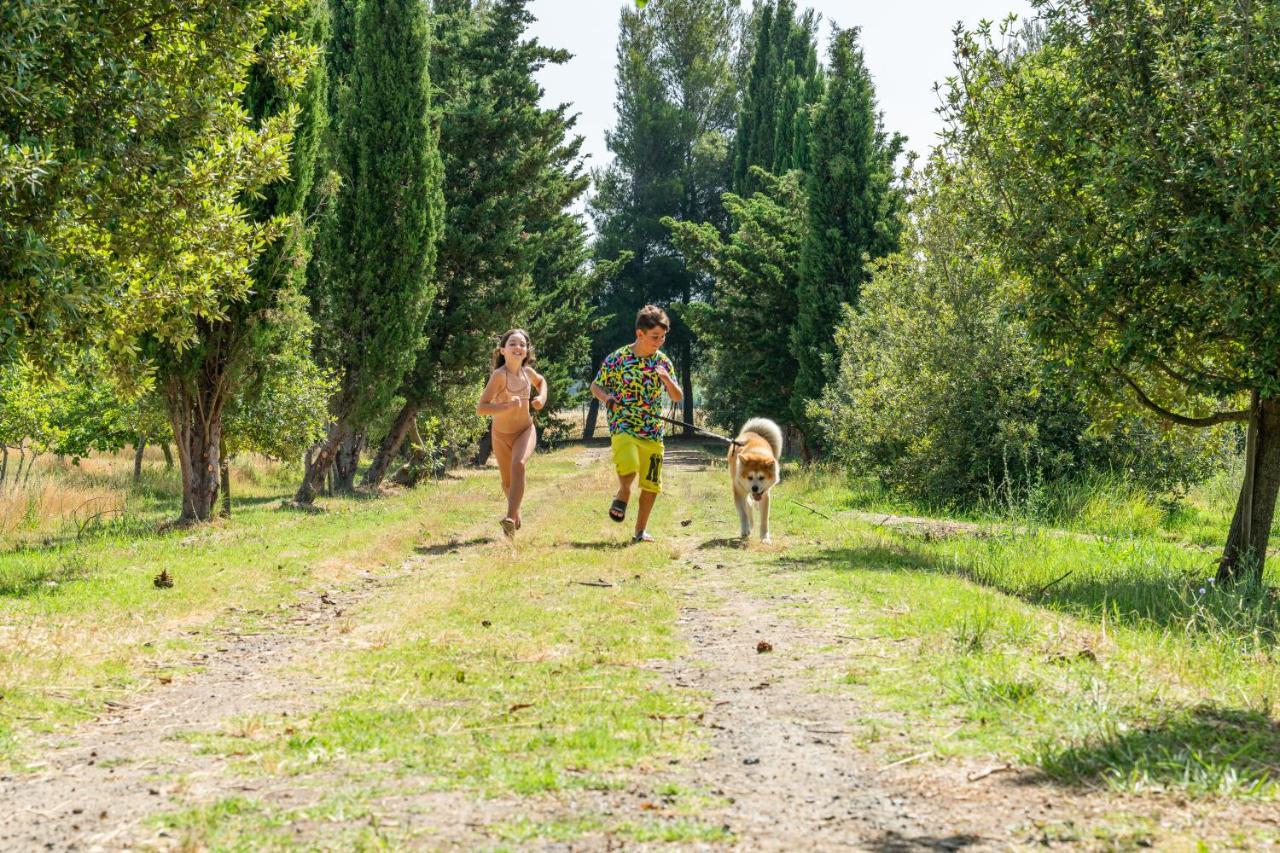 Agriturismo Le Biricoccole Вада Екстер'єр фото