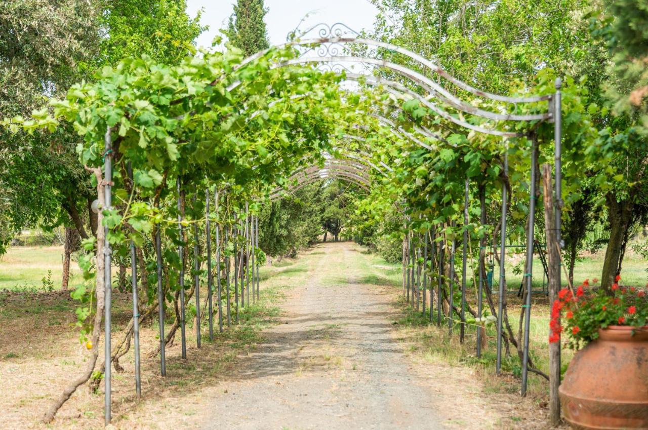 Agriturismo Le Biricoccole Вада Екстер'єр фото