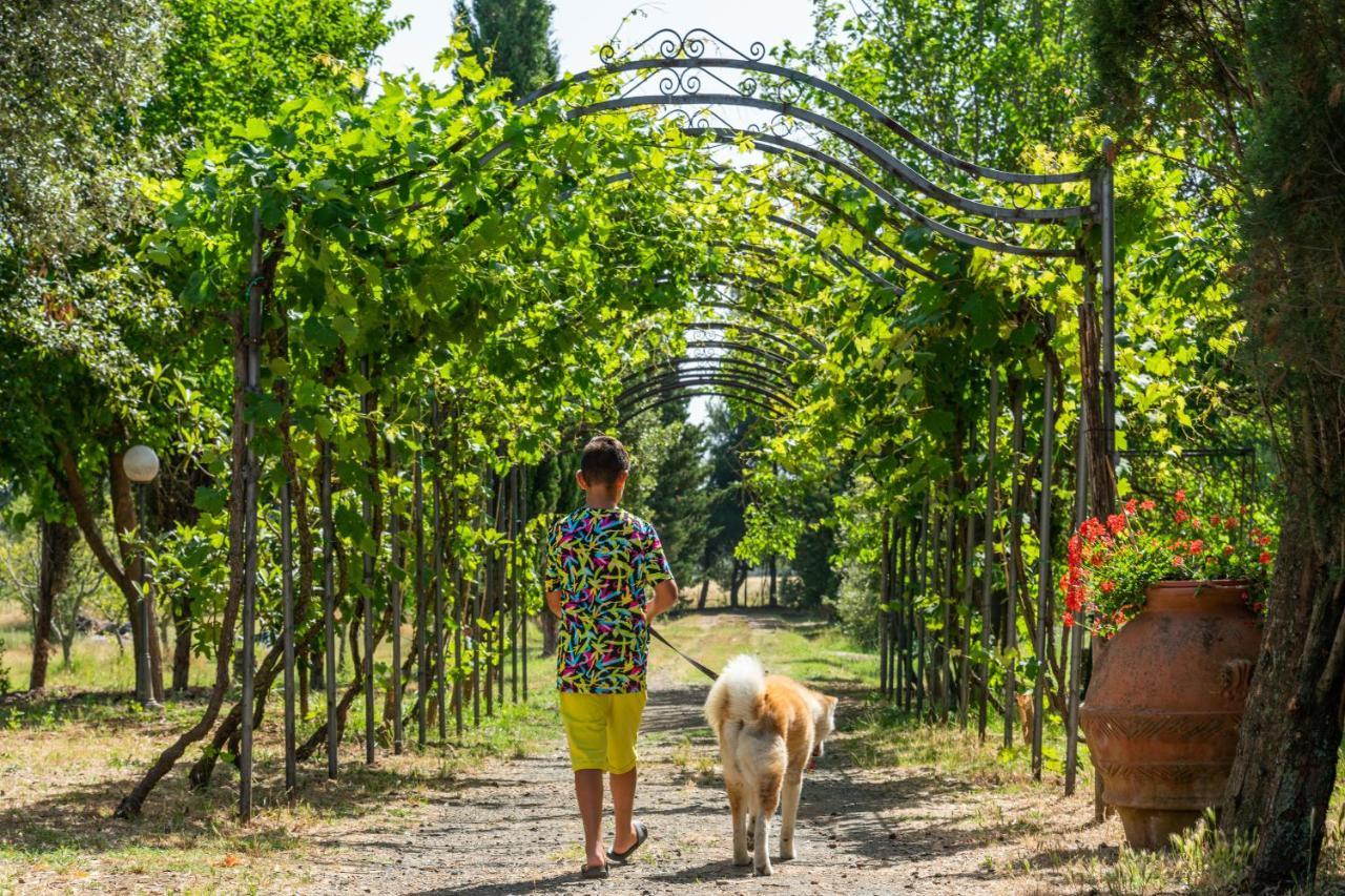 Agriturismo Le Biricoccole Вада Екстер'єр фото