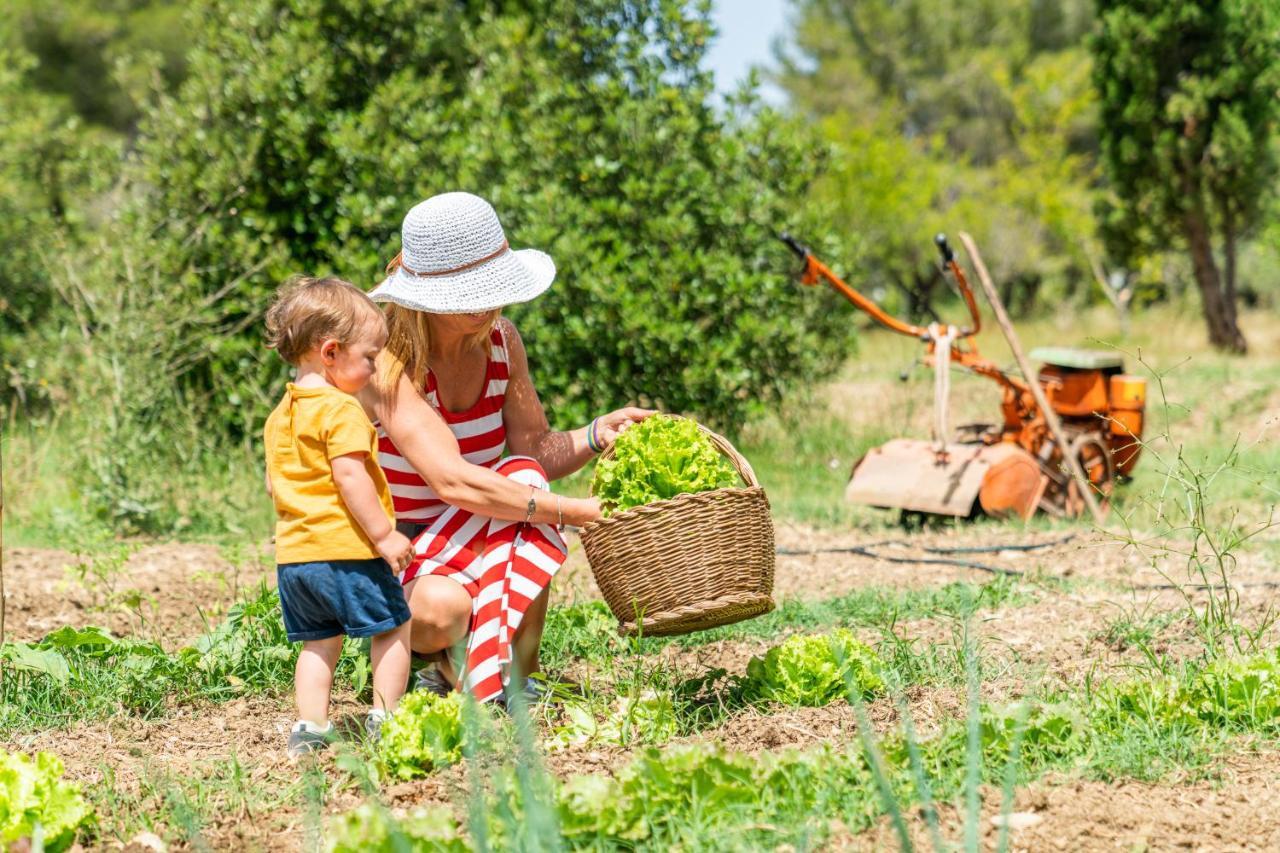 Agriturismo Le Biricoccole Вада Екстер'єр фото